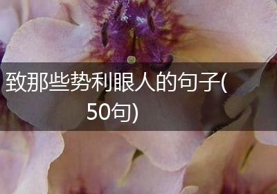 致那些势利眼人的句子(50句)
