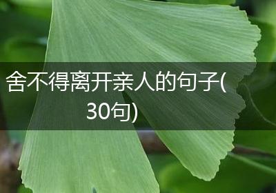 舍不得离开亲人的句子(30句)