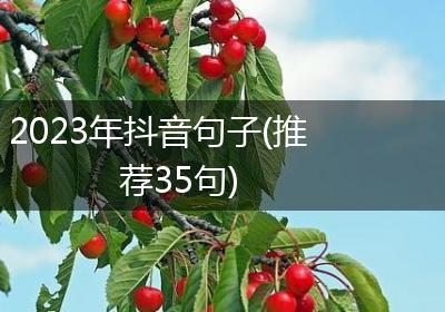 2023年抖音句子(推荐35句)