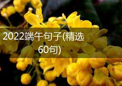 2022端午句子(精选60句)