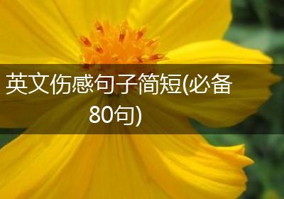 英文伤感句子简短(必备80句)