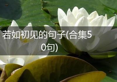 若如初见的句子(合集50句)
