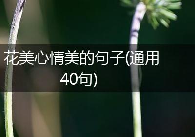 花美心情美的句子(通用40句)