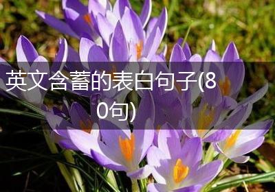 英文含蓄的表白句子(80句)