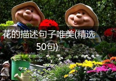 花的描述句子唯美(精选50句)