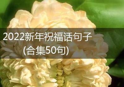 2022新年祝福话句子(合集50句)