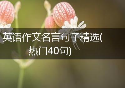 英语作文名言句子精选(热门40句)