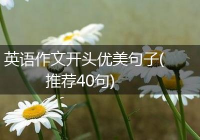 英语作文开头优美句子(推荐40句)
