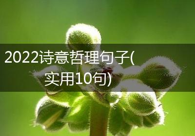 2022诗意哲理句子(实用10句)