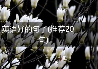 英语好的句子(推荐20句)