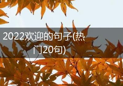 2022欢迎的句子(热门20句)