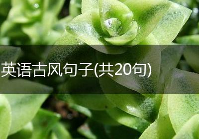 英语古风句子(共20句)