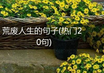 荒废人生的句子(热门20句)