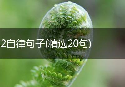 2自律句子(精选20句)