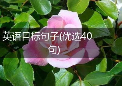 英语目标句子(优选40句)