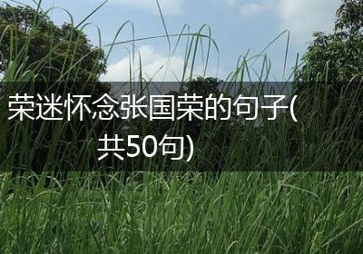 荣迷怀念张国荣的句子(共50句)