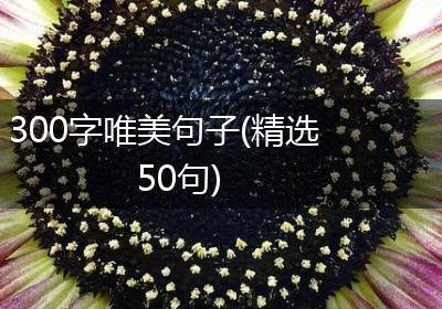 300字唯美句子(精选50句)