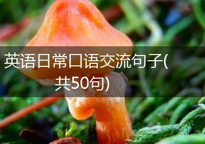 英语日常口语交流句子(共50句)