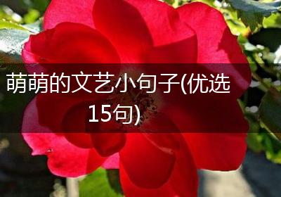 萌萌的文艺小句子(优选15句)