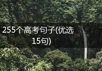 255个高考句子(优选15句)