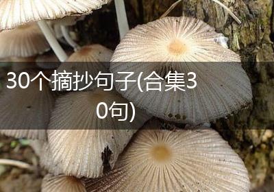 30个摘抄句子(合集30句)