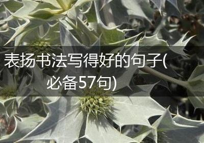 表扬书法写得好的句子(必备57句)