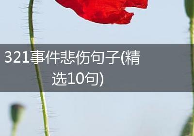321事件悲伤句子(精选10句)