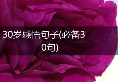 30岁感悟句子(必备30句)