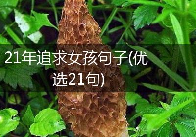 21年追求女孩句子(优选21句)