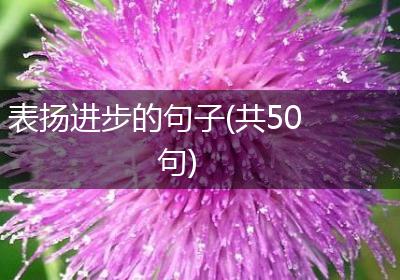 表扬进步的句子(共50句)