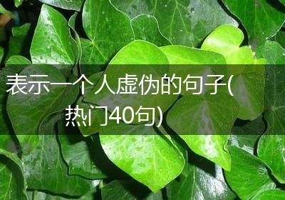 表示一个人虚伪的句子(热门40句)