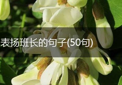 表扬班长的句子(50句)