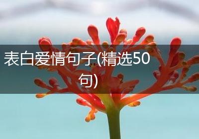 表白爱情句子(精选50句)