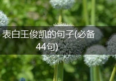 表白王俊凯的句子(必备44句)