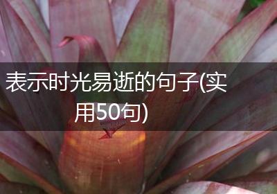 表示时光易逝的句子(实用50句)