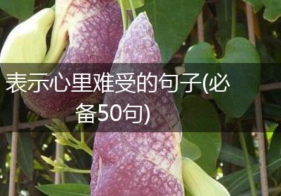 表示心里难受的句子(必备50句)