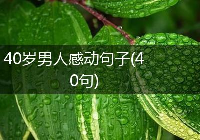 40岁男人感动句子(40句)