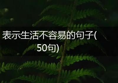 表示生活不容易的句子(50句)