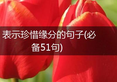 表示珍惜缘分的句子(必备51句)