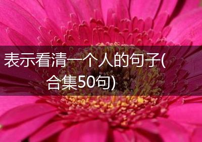 表示看清一个人的句子(合集50句)