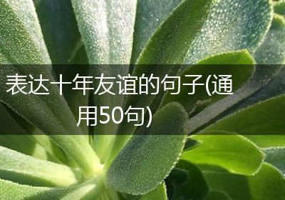表达十年友谊的句子(通用50句)
