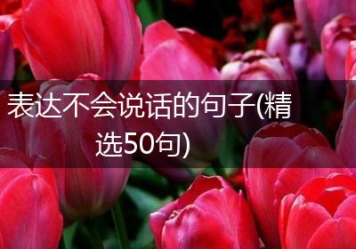 表达不会说话的句子(精选50句)