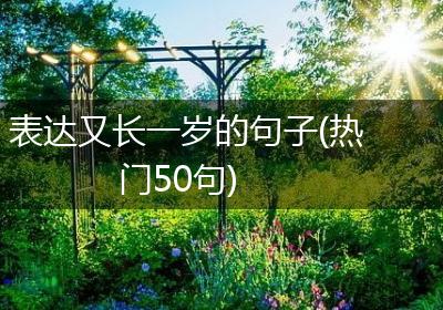 表达又长一岁的句子(热门50句)