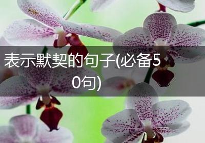 表示默契的句子(必备50句)