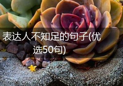 表达人不知足的句子(优选50句)