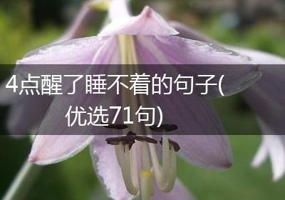 4点醒了睡不着的句子(优选71句)