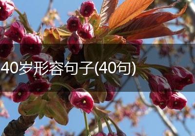 40岁形容句子(40句)