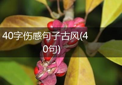 40字伤感句子古风(40句)