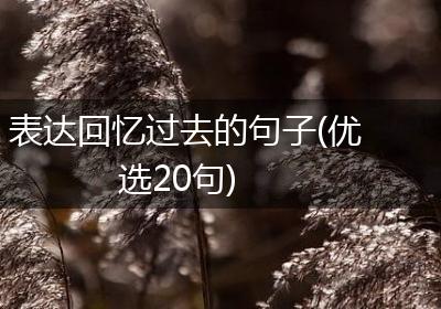 表达回忆过去的句子(优选20句)