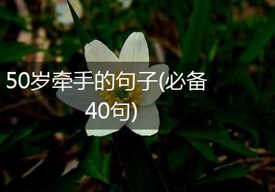 50岁牵手的句子(必备40句)